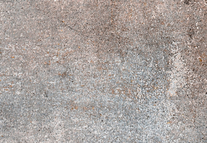 Kanva - Abstraktās struktūras sepijas un pelēkās krāsās, 151425 G-ART