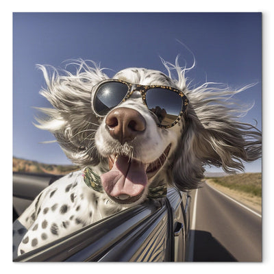 Kanva - Angļu seteris - suns ar brillēm brauc automašīnā, 150193 G-ART