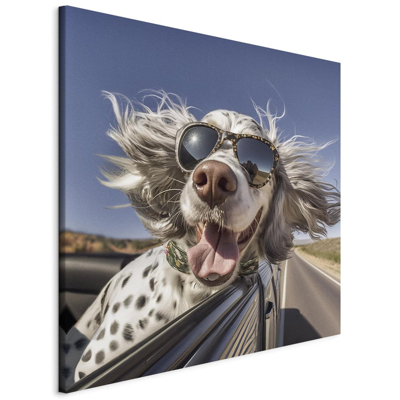 Kanva - Angļu seteris - suns ar brillēm brauc automašīnā, 150193 G-ART