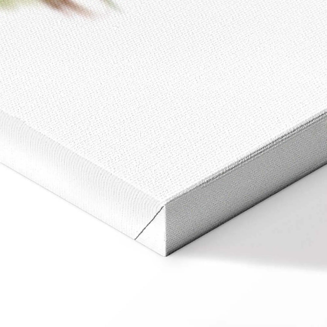 Kanva ar baltām orhidejām uz balta fona - Brīnišķīgā orhideja ART XL