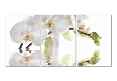 Kanva ar baltām orhidejām uz balta fona - Brīnišķīgā orhideja, 123420 (x 3) G-ART.