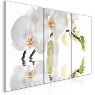 Kanva ar baltām orhidejām uz balta fona - Brīnišķīgā orhideja, 123420 (x 3) G-ART.