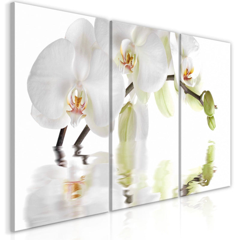 Glezna ar baltām orhidejām uz balta fona - Brīnišķīgā orhideja x3 G-ART