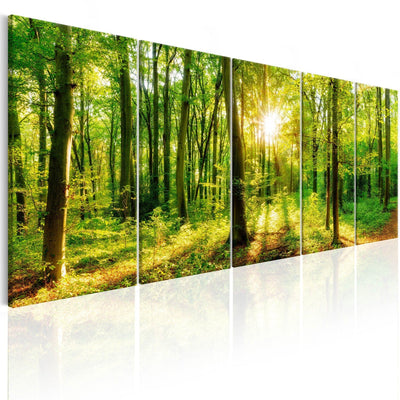 Kanva ar dabas skatu - Maģisks mežs, (x 5), 98589 G-ART