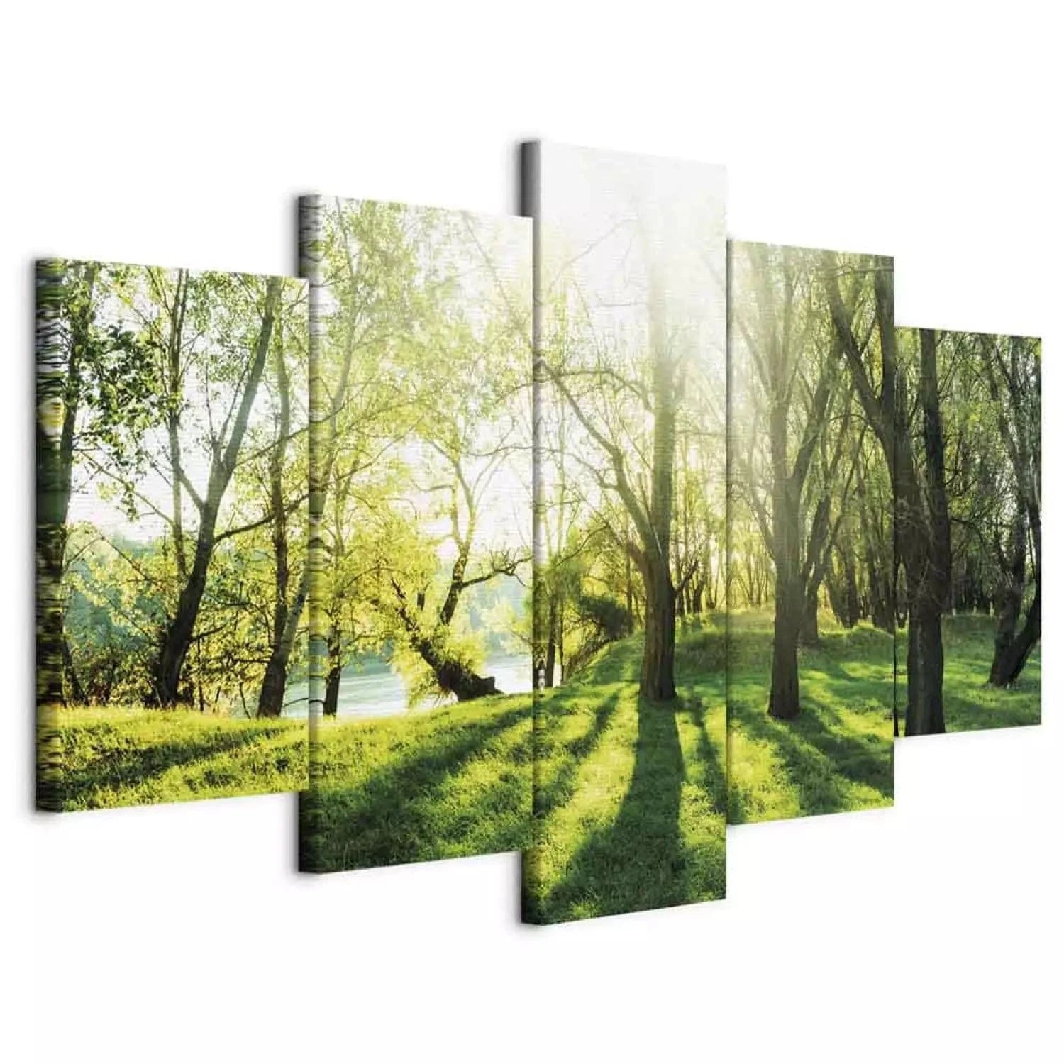 Kanva ar dabas skatu - zaļos toņos - Zaļā pļava - mierīgai atmosfērai G-ART