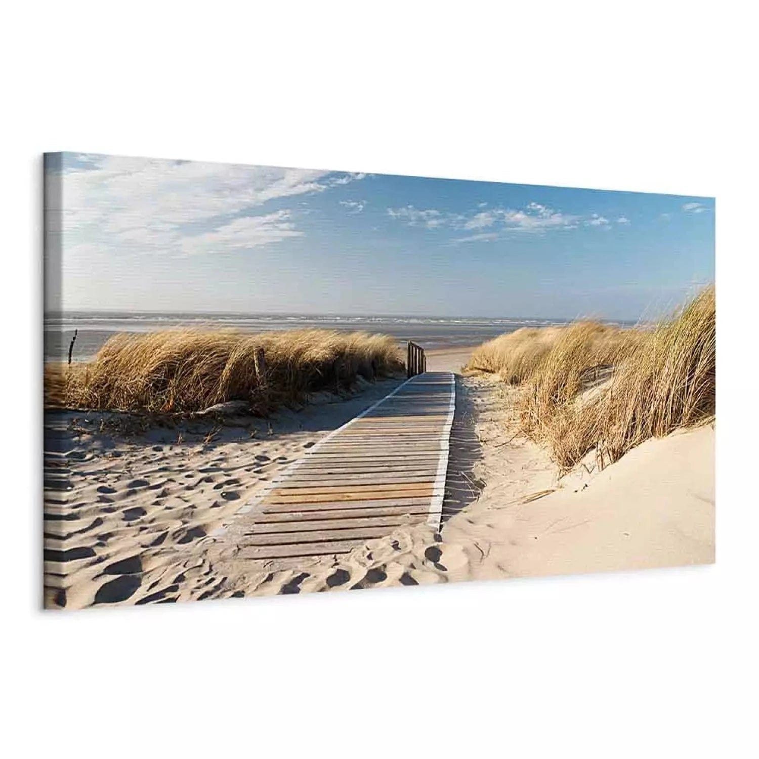 Kanva ar jūras skatu - Savvaļas pludmale, (x 1), zila un bešā krāsā G-ART