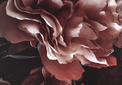 Kanva ar krāšņiem ziediem - Sapņu dārzs, (x 5), 150281 G-ART.