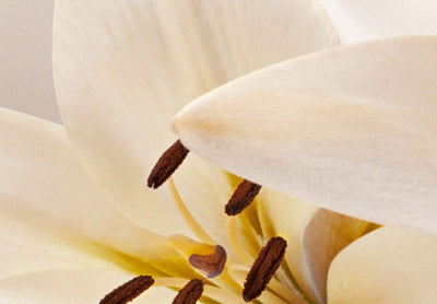 Kanva ar lilijām, brūnos toņos - Mirdzošā lilija, (x5), 63944 G-ART.