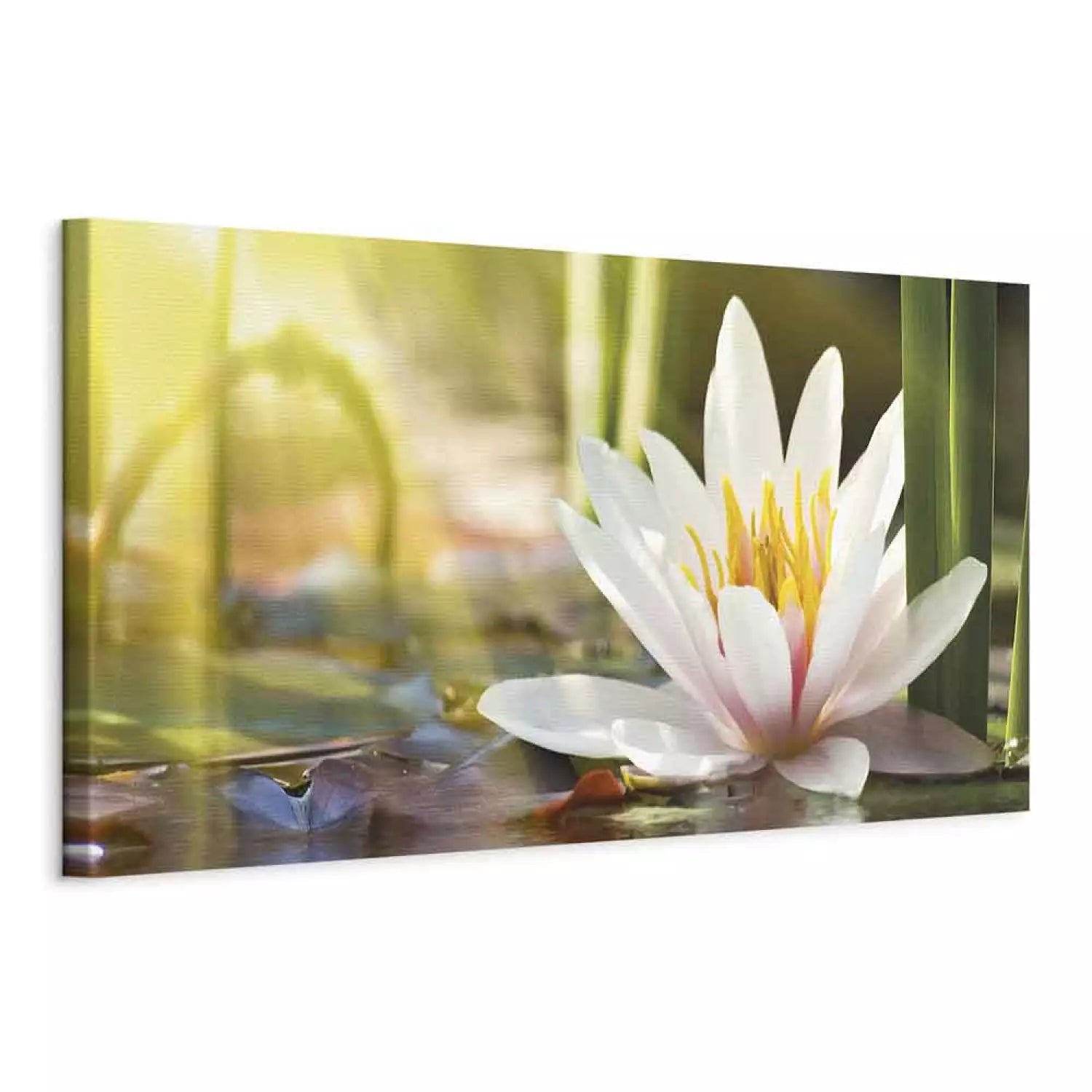 Glezna "Lotosa Mirdzums" – Zaļš Ziedu Motīvs Interjeram ART XL