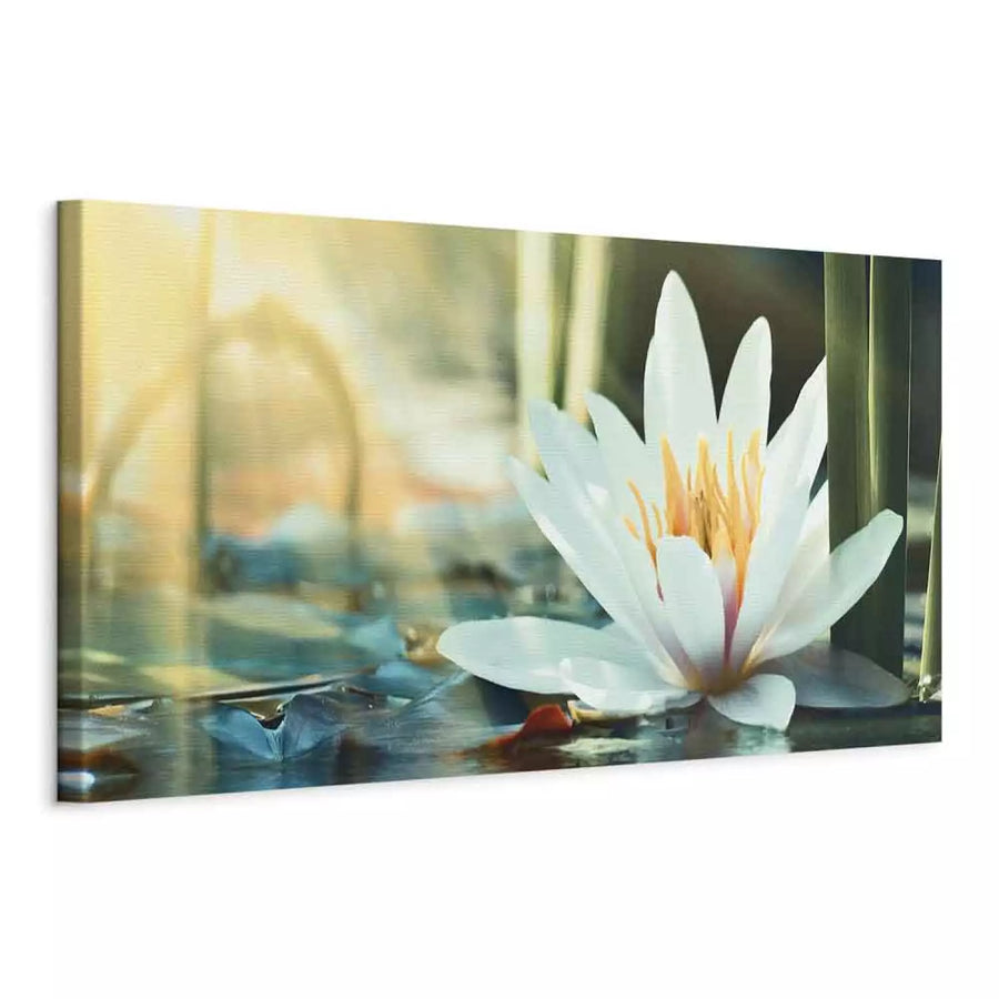 Glezna "Lotosa Ezers" (93082) – Zieds uz Ūdens Virsmas ART XL