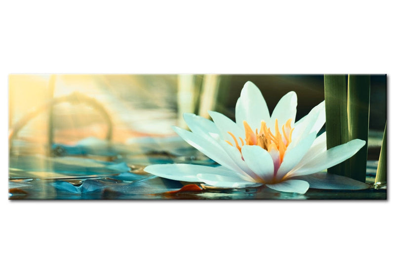 Kanva ar lotosu uz ūdens - Lotosa ezers, (x1) 93082 G-ART.