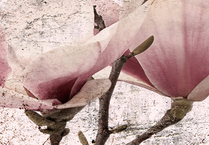Glena ar magnoliju rozā toņos - Liriskās magnolijas (x 3), 122781 G-ART