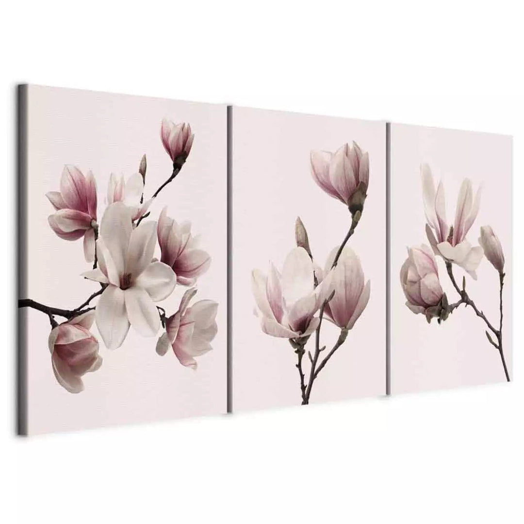 Glezna ar magnoliju uz rozā fona - Pavasara magnolijas, (x 3), 118380 G-ART