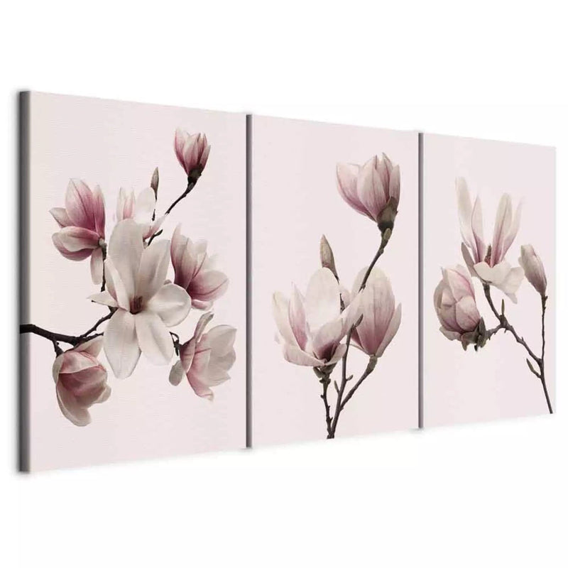 Glezna ar magnoliju uz rozā fona - Pavasara magnolijas, (x 3), 118380 G-ART