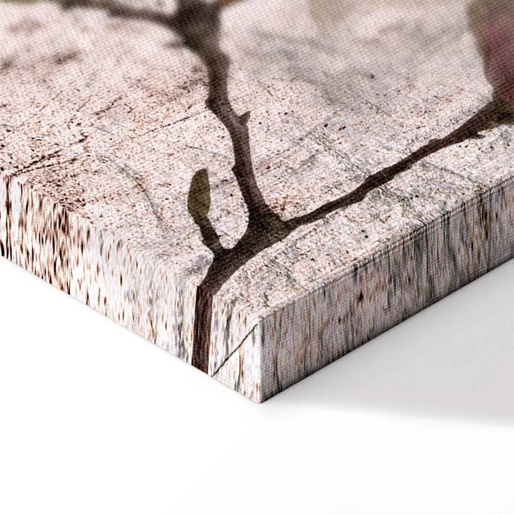 Glezna ar magnoliju uz rozā fona, (3 daļās), 122780 ART XL