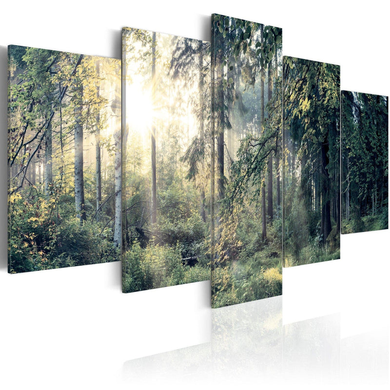 Kanva ar mežu - Pasaku ainava, (x5), 91574 G-ART.