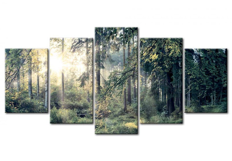Kanva ar mežu - Pasaku ainava, (x5), 91574 G-ART.