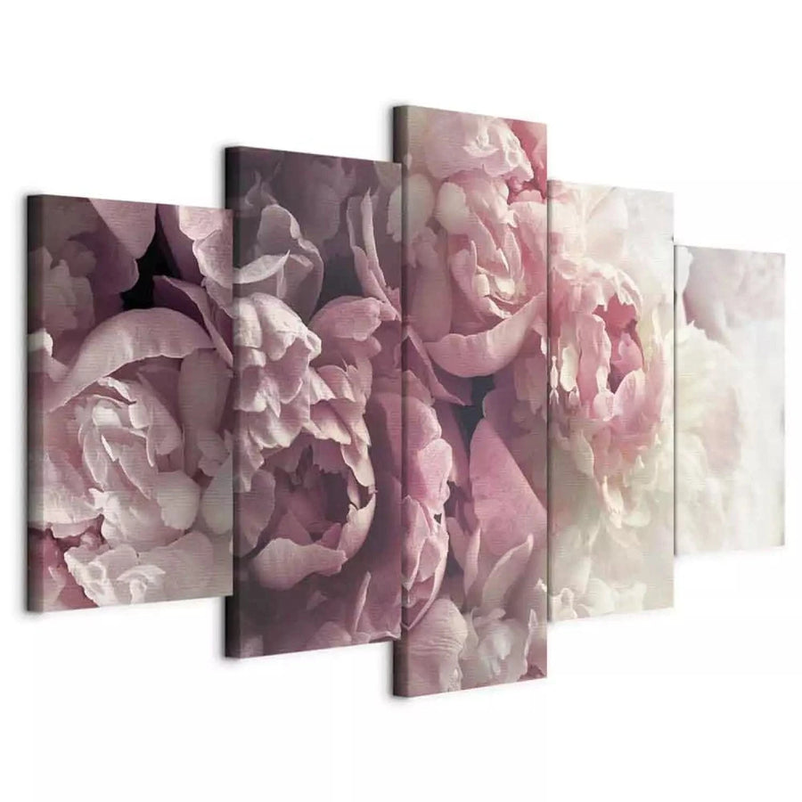Glezna ar peonijām - Retro peonijas, (x 5), romantiski rozā krāsā ART XL