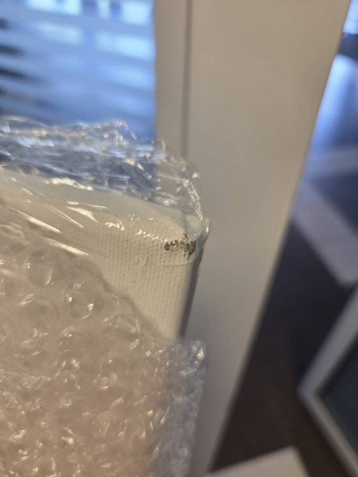 Kanva ar peonijām - Smalkas peonijas, (60x90 cm), neliels defekts ART XL