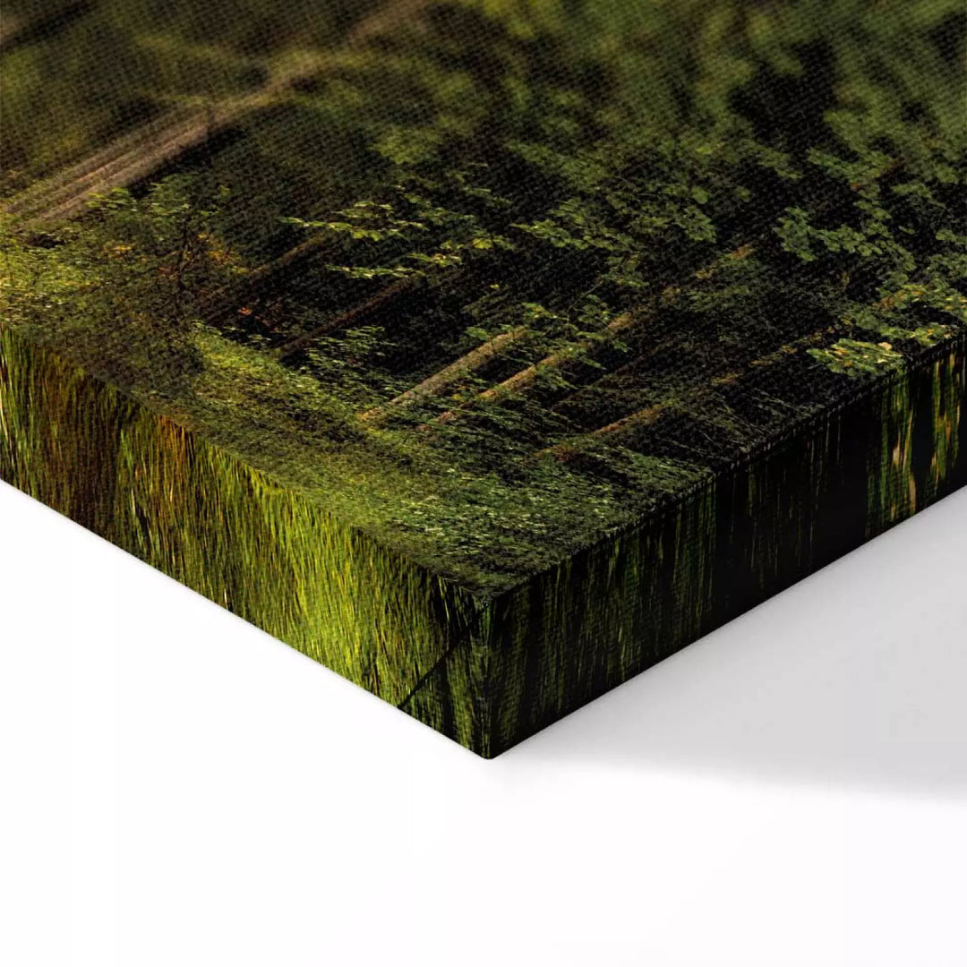 Glezna ar saulainu mežu - Meža burvība - 91573, (x5) ART XL