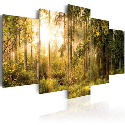 Kanva ar saulainu mežu - Meža burvība, 91573, (x5) G-ART.