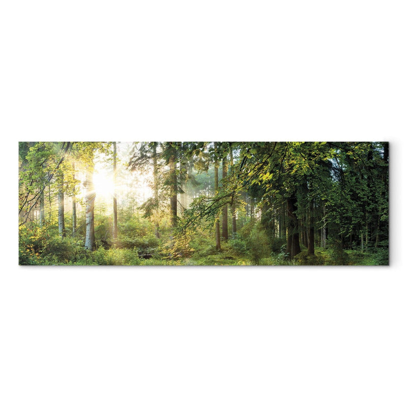 Kanva ar saulainu mežu - Meža patversme, (x1), 91569 G-ART.