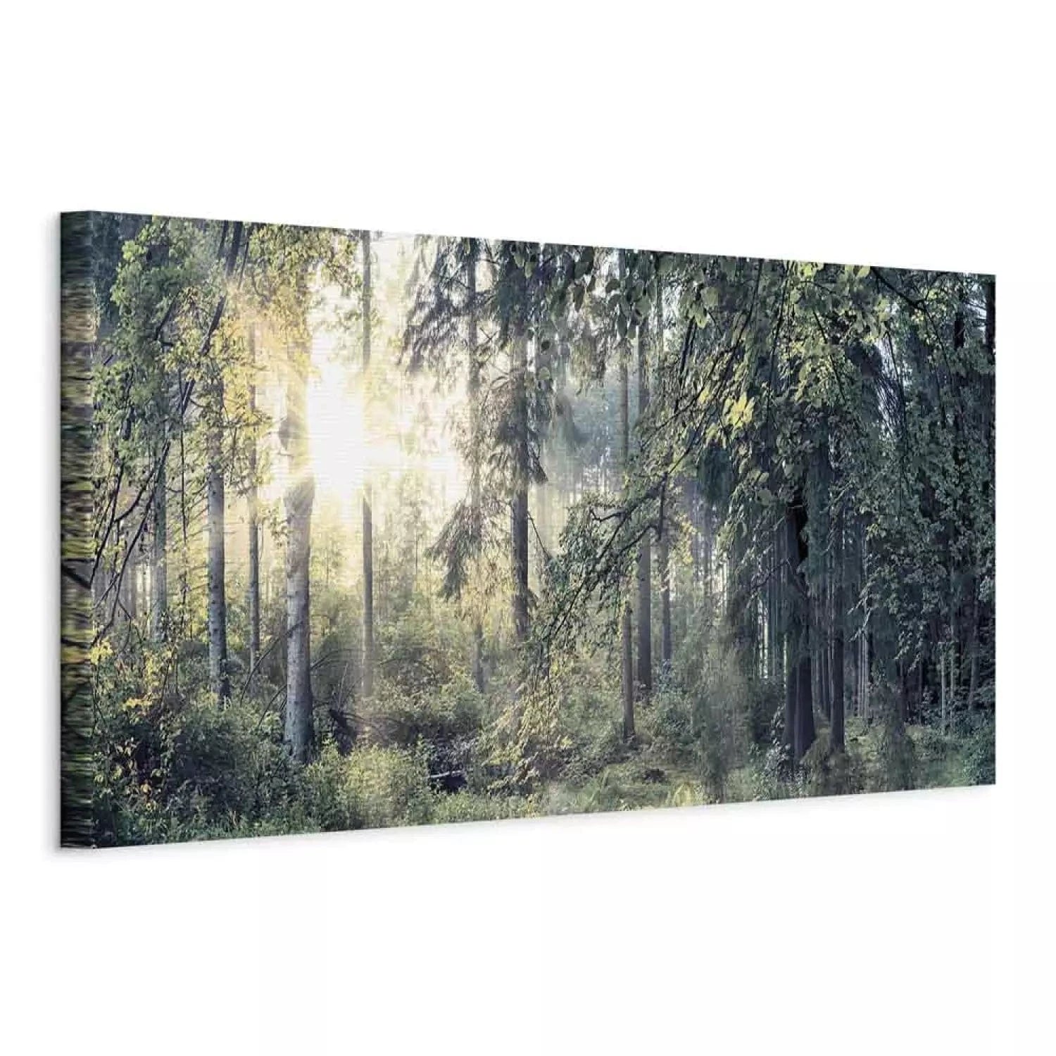 Kanva ar saulainu mežu - Rīta burvība, zaļā krāsā - 91571 G-ART