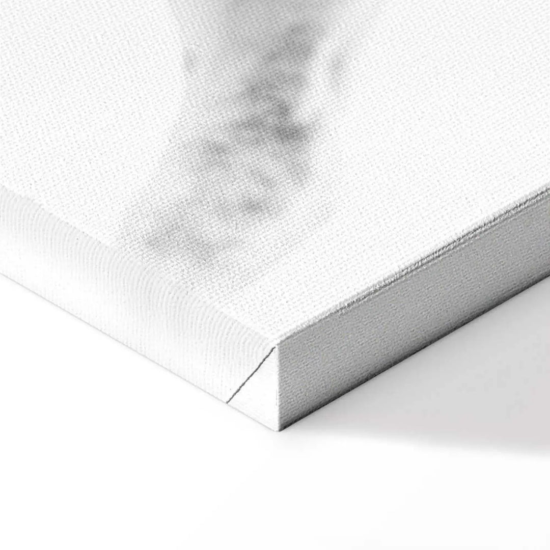 Glezna ar zirgu - Balts zirgs uz balta fona ART XL