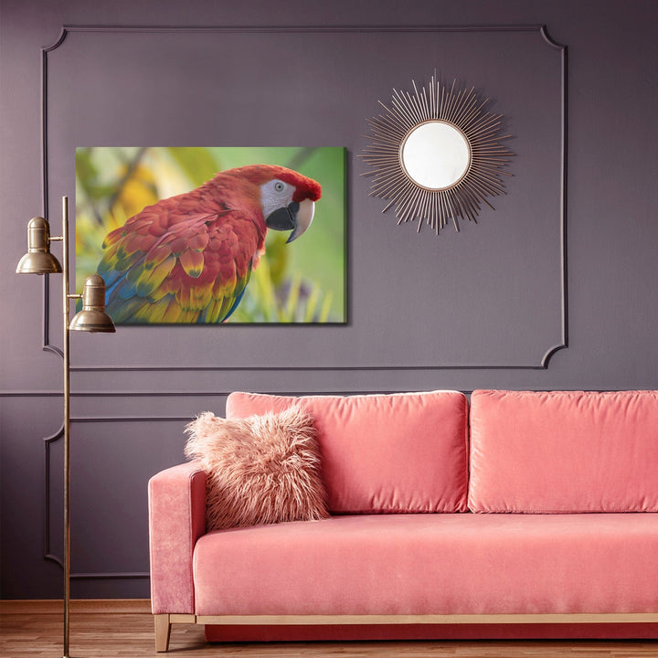 Kanva - Ara papagailis, N-825 X-ART