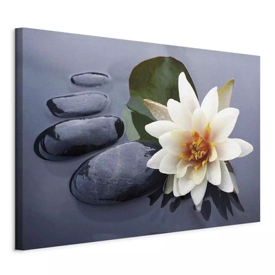 Painting - White water lily and stones on grey background, 162552 G-ART