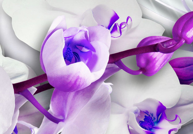 Glezna – baltas orhidejas ar violetiem akcentiem - Orhidejas vēsums, (x5), 62435 Tapetenshop.lv.