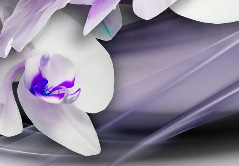 Glezna – baltas orhidejas ar violetiem akcentiem - Orhidejas vēsums, (x5), 62435 Tapetenshop.lv.