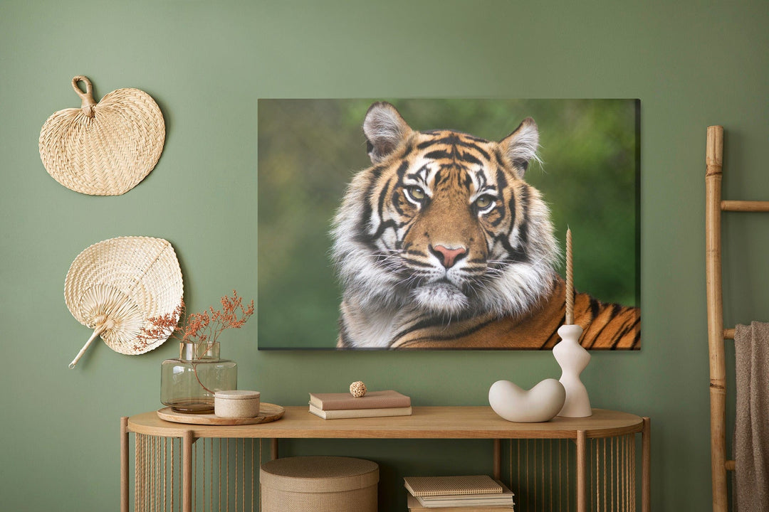 Kanva - Bengāļu tīģera portrets, N-1425 X-ART