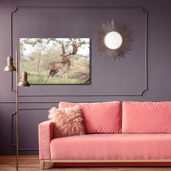 Kanva - Briedis ar krāšņiem ragiem, N-1024 X-ART