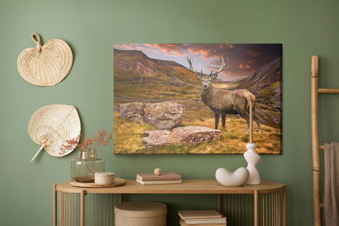 Kanva - Briedis kalnos, N-735 X-ART