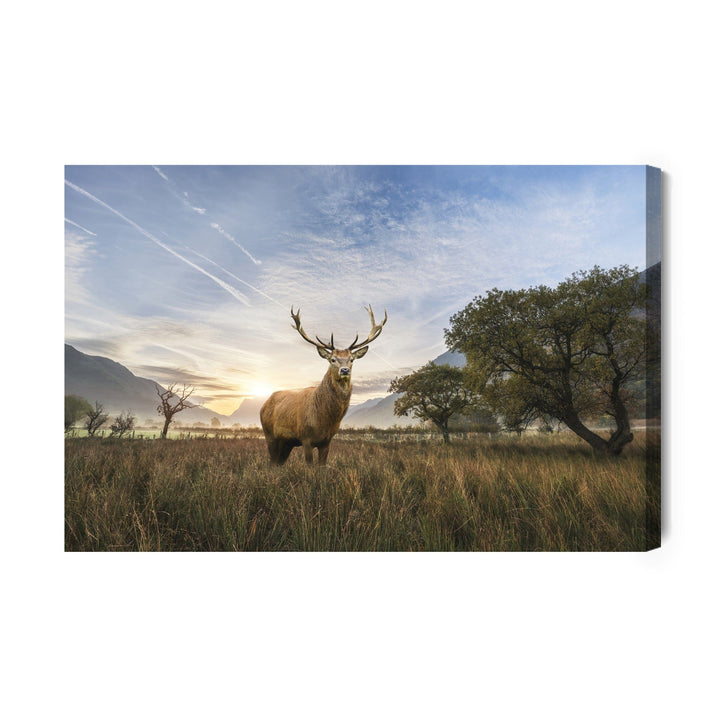 Kanva - Briedis uz ainavas fona, N-977 X-ART