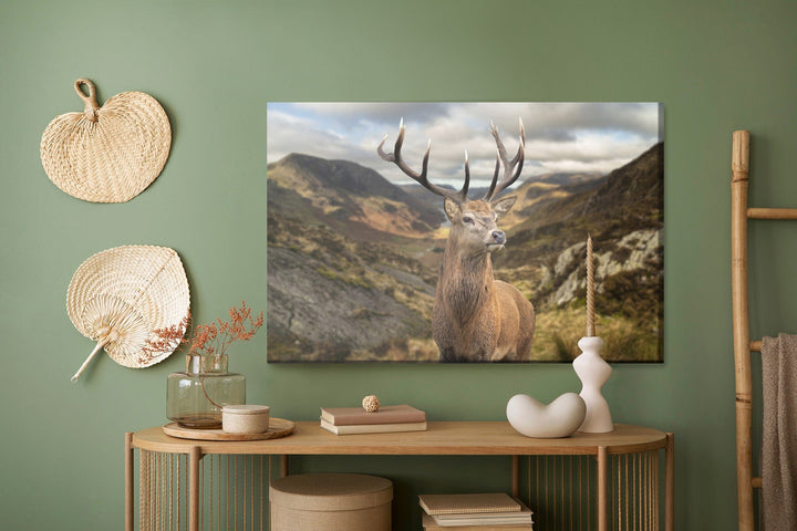 Kanva - Briedis uz kalnu fona, N-755 X-ART