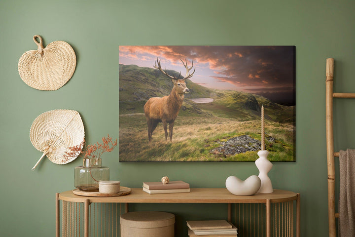 Kanva - Briedis uz mākoņainas debess fona, N-967 X-ART