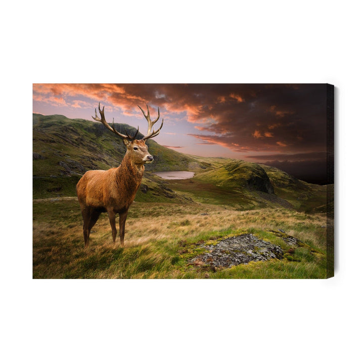 Kanva - Briedis uz mākoņainas debess fona, N-967 X-ART