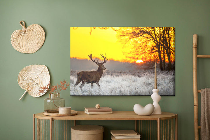 Kanva - Briedis uz saullēkta fona, N-970 X-ART