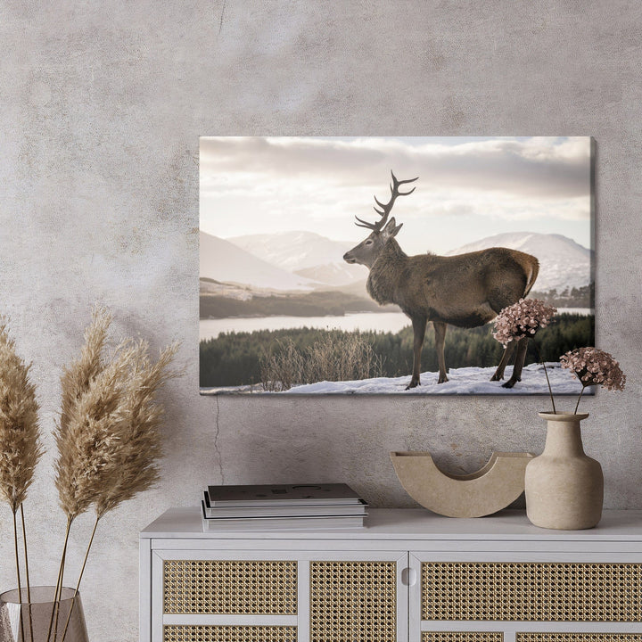 Kanva - Briedis uz ziemas ainavas fona, N-999 X-ART