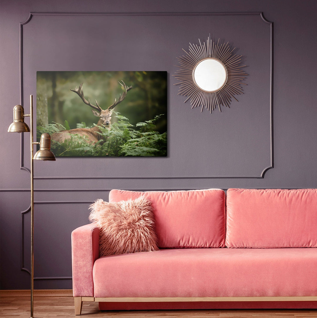 Kanva - Briedis zaļumos, N-764 X-ART