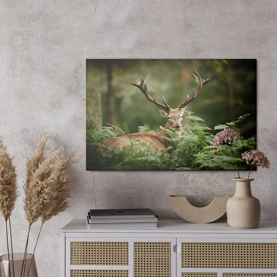 Kanva - Briedis zaļumos, N-764 X-ART