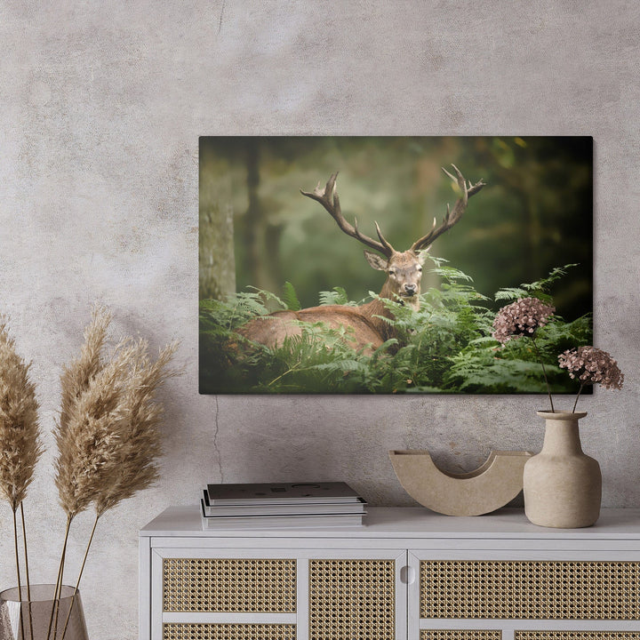 Kanva - Briedis zaļumos, N-764 X-ART