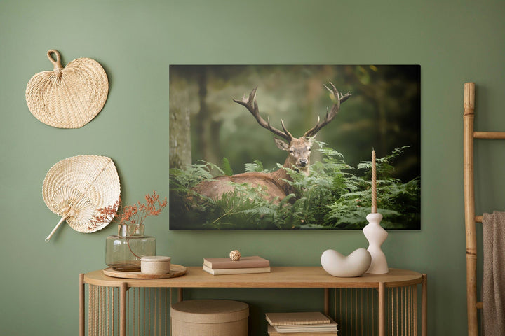 Kanva - Briedis zaļumos, N-764 X-ART