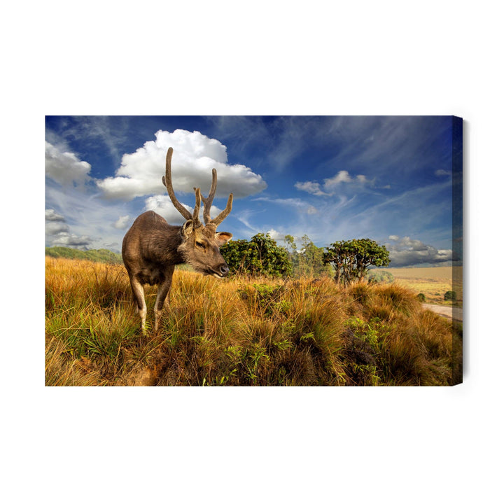 Kanva - Briedis zem debesīm, N-1025 X-ART