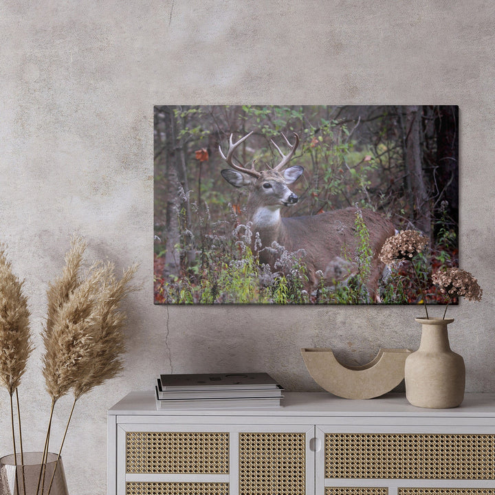 Kanva - Brieža meža veģetācijas vidū, N-987 X-ART