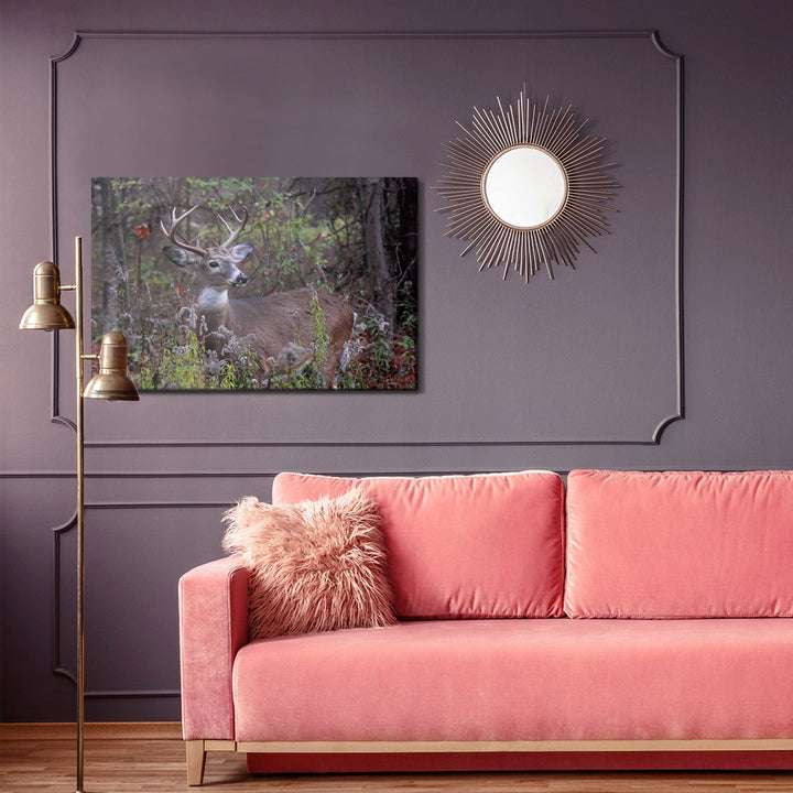 Kanva - Brieža meža veģetācijas vidū, N-987 X-ART