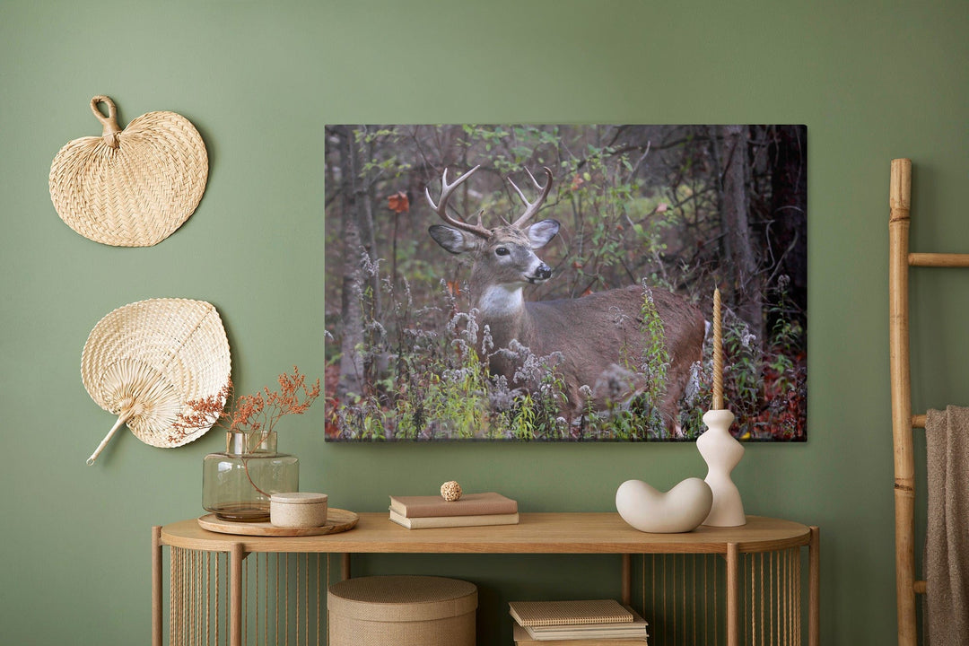 Kanva - Brieža meža veģetācijas vidū, N-987 X-ART