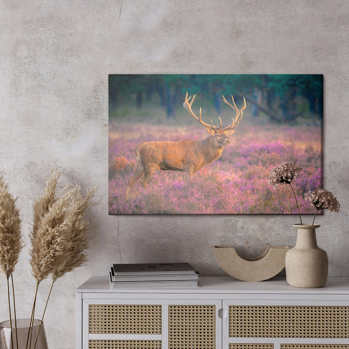 Kanva - Brieža riests, N-991 X-ART